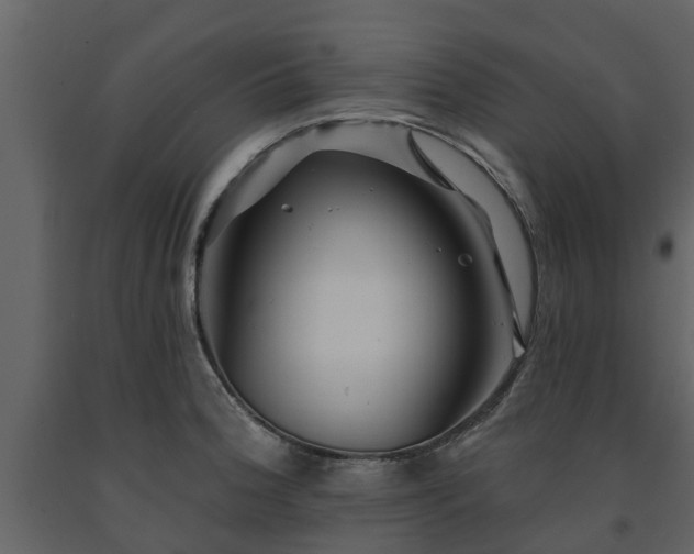 X0000091691188200708231433