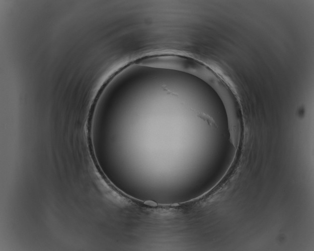 X0000091691189200708231433
