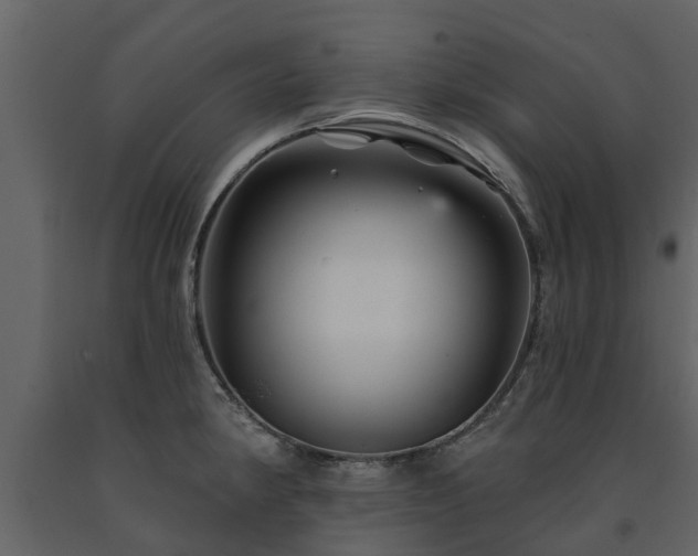 X0000091691190200708231433
