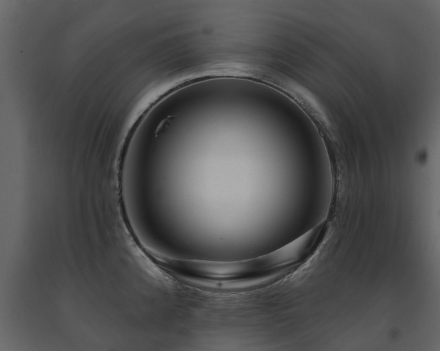 X0000091691192200708231433