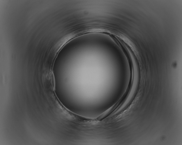 X0000091691193200708231433