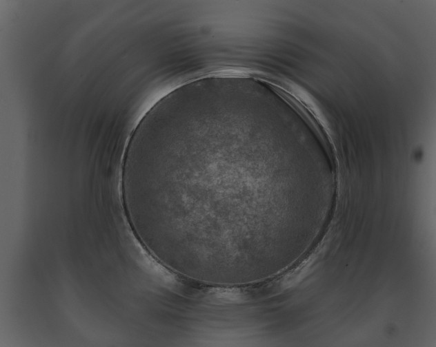 X0000091691194200708231433