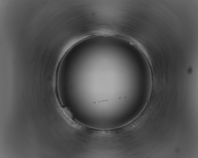 X0000091691195200708231433