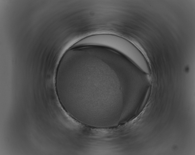 X0000091691197200708231433