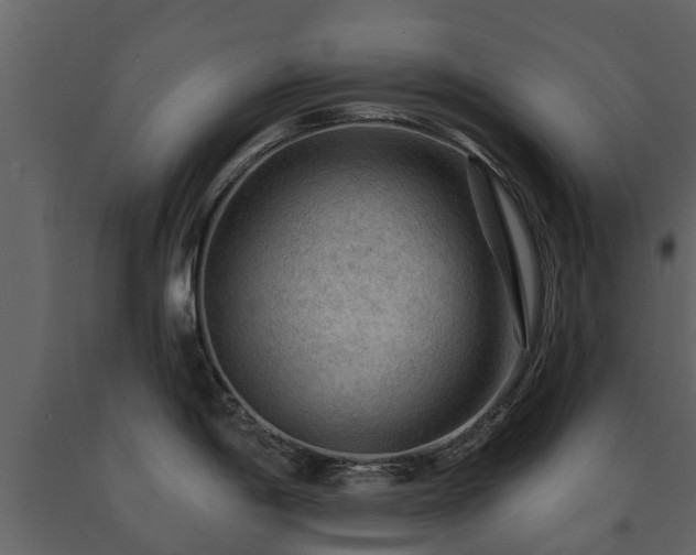 X0000091691198200708231433