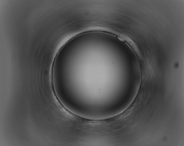 X0000091691199200708231433