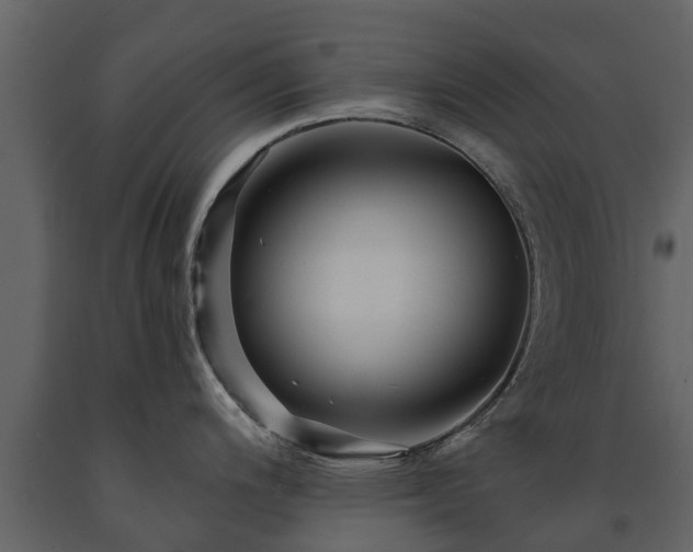X0000091691200200708231433