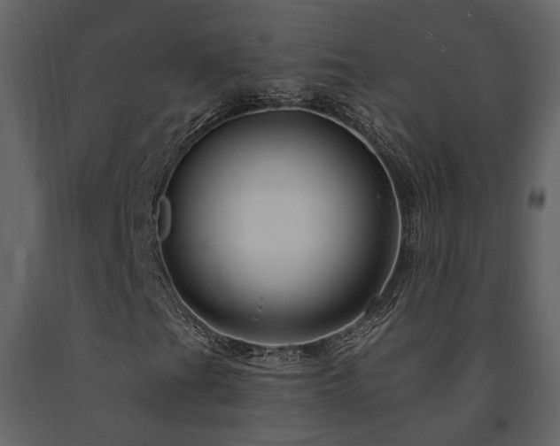 X0000091691201200708231432
