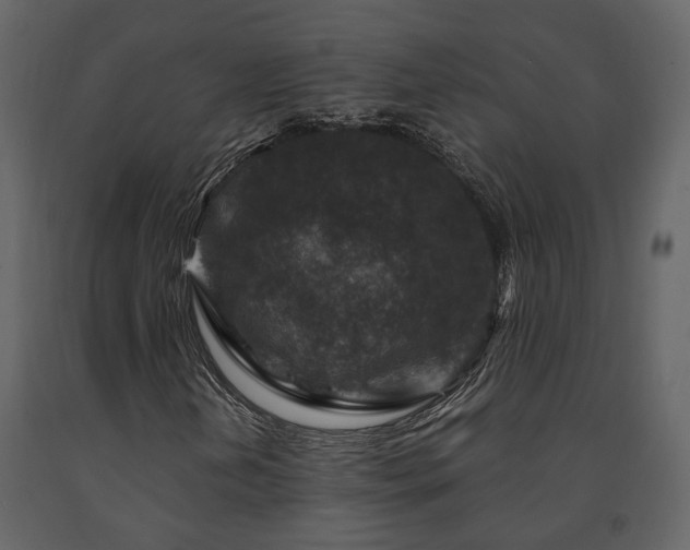 X0000091691202200708231432
