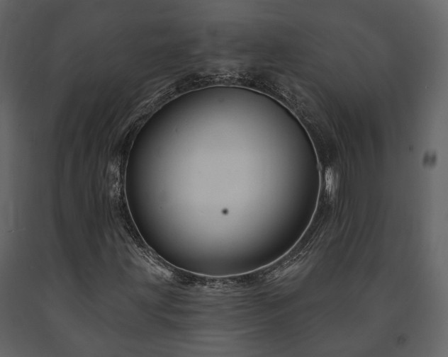 X0000091691203200708231432