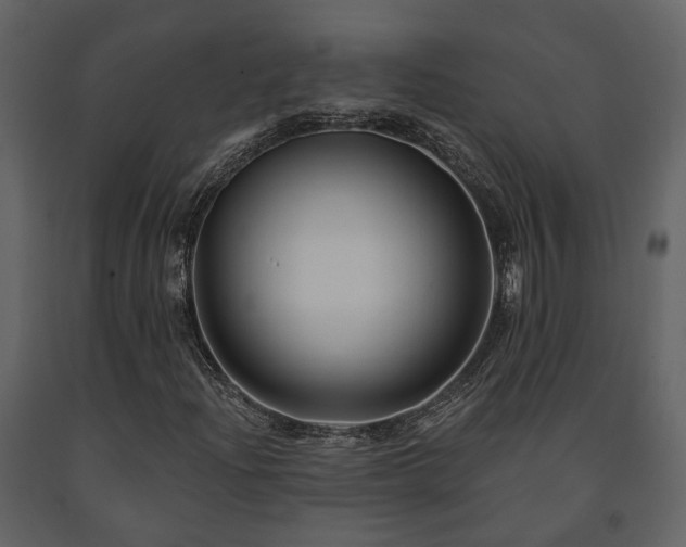 X0000091691204200708231432