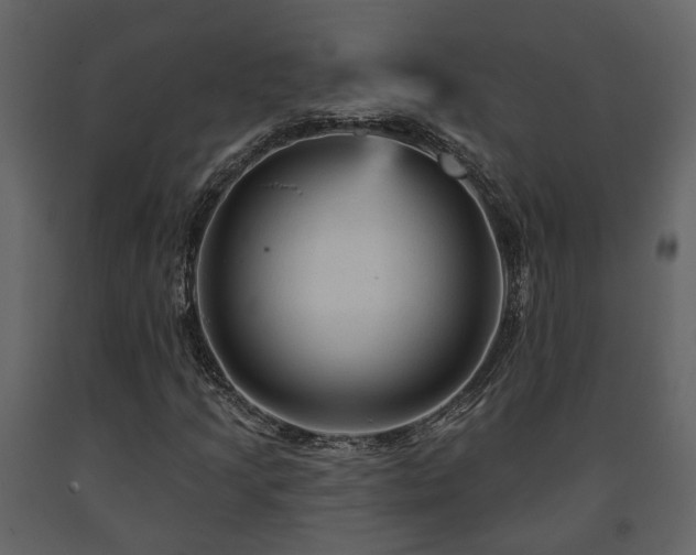 X0000091691205200708231432