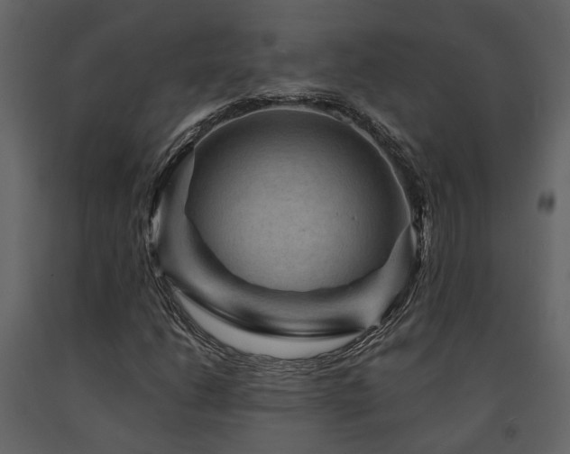 X0000091691206200708231432