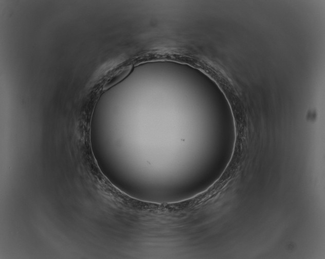 X0000091691207200708231432