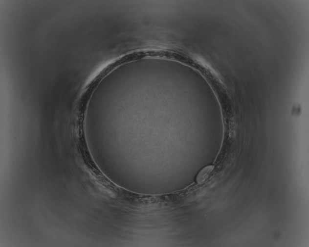 X0000091691208200708231432