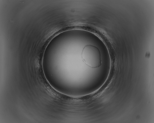 X0000091691209200708231432