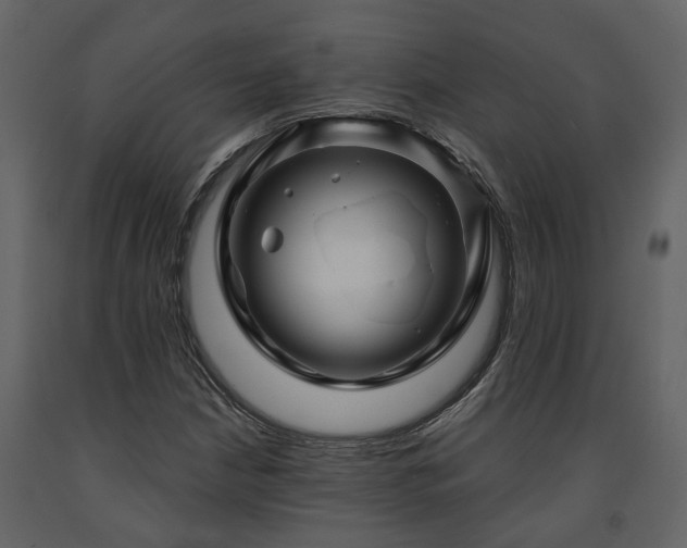 X0000091691210200708231432