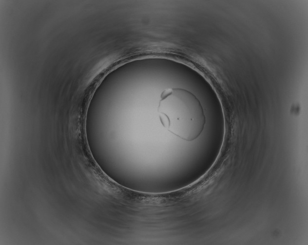 X0000091691211200708231432