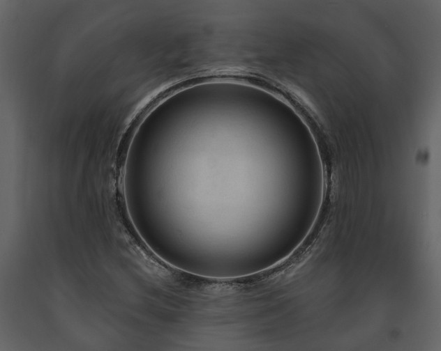 X0000091691212200708231432