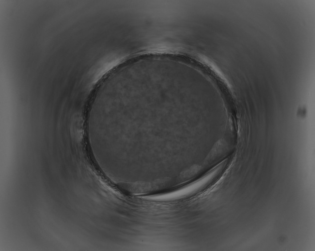 X0000091691213200708231432