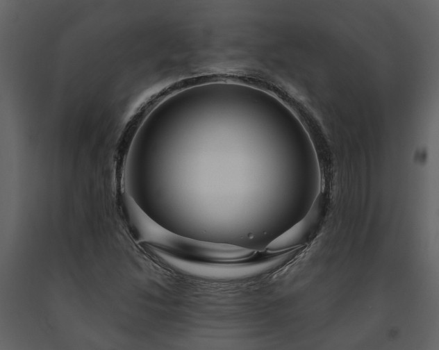 X0000091691214200708231432