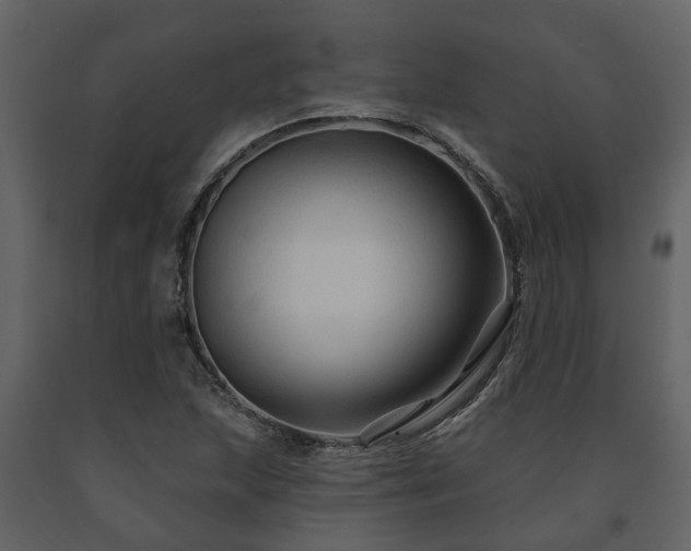 X0000091691215200708231432
