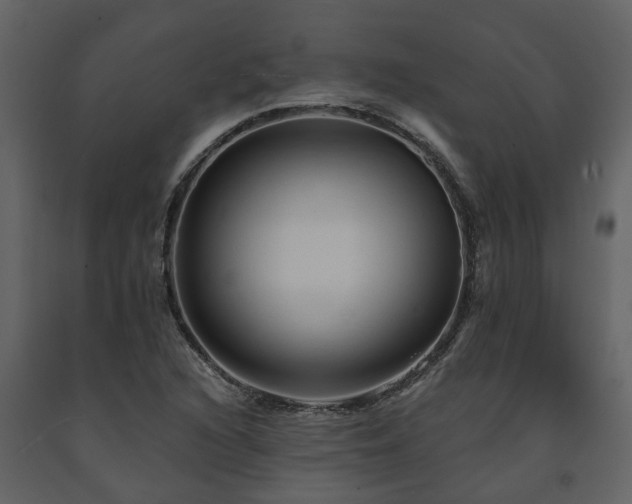 X0000091691216200708231432