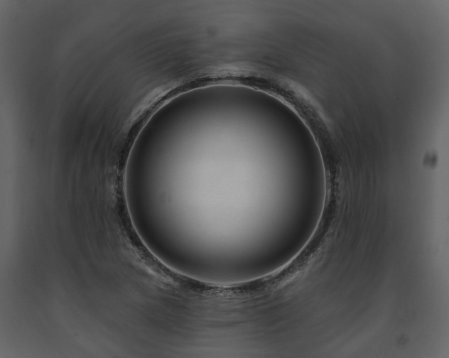 X0000091691217200708231432