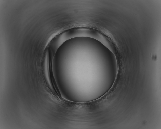 X0000091691218200708231432