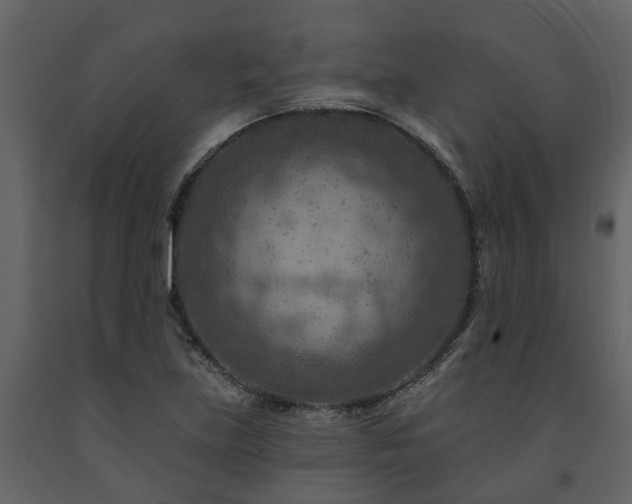 X0000091691219200708231432