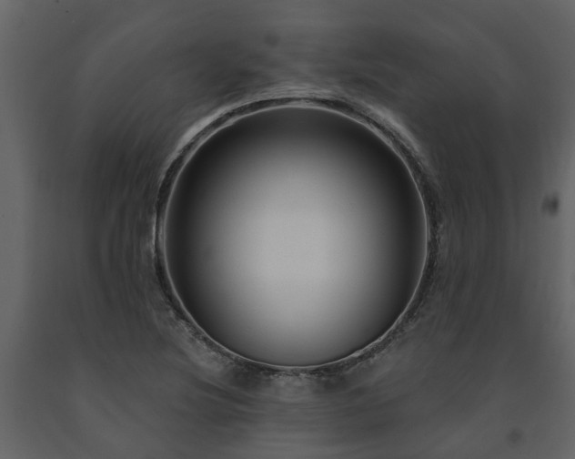 X0000091691220200708231432