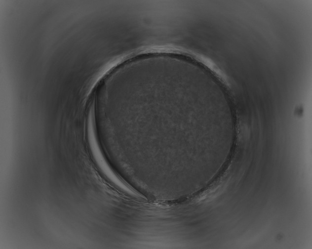 X0000091691221200708231432