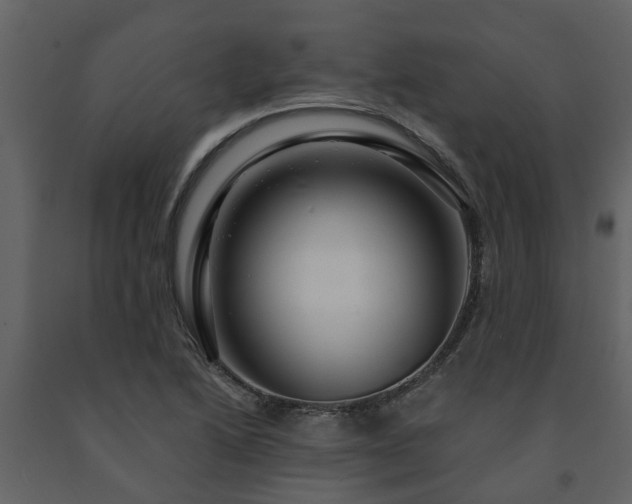 X0000091691222200708231432