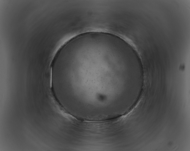 X0000091691223200708231432