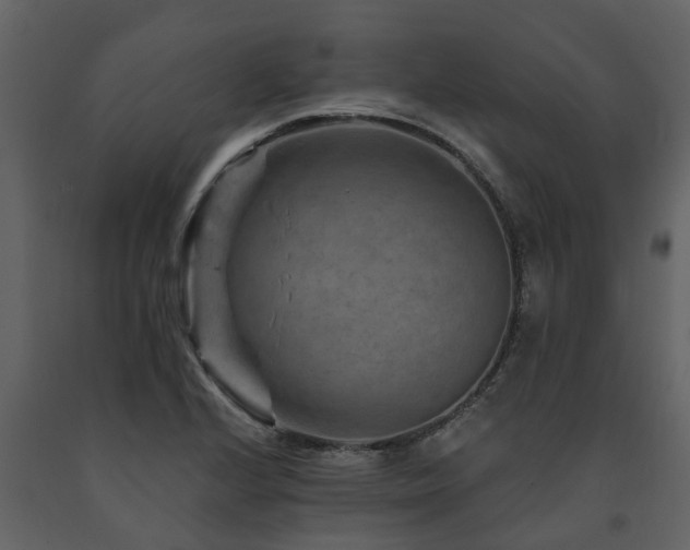X0000091691224200708231432