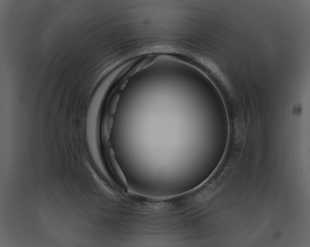 X0000091691225200708231432