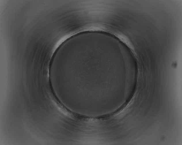 X0000091691226200708231432