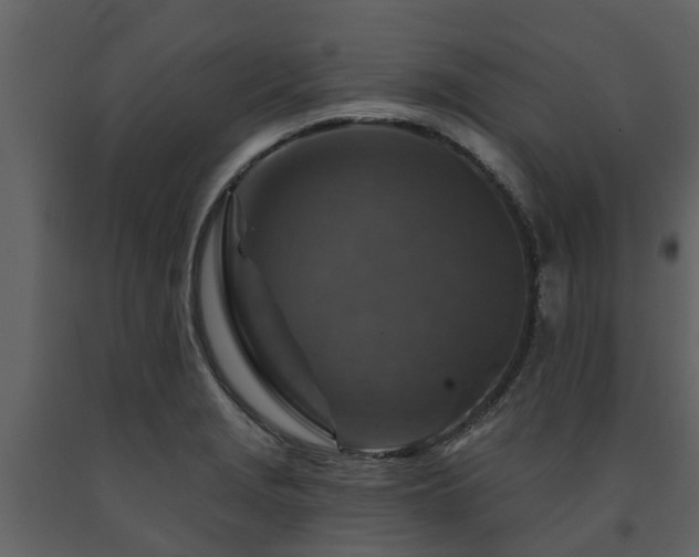 X0000091691229200708231432