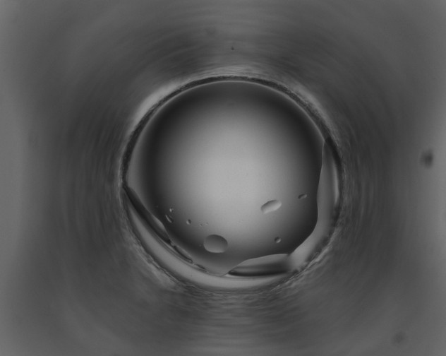 X0000091691230200708231432
