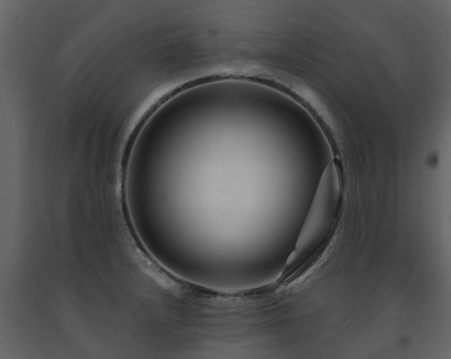 X0000091691232200708231432