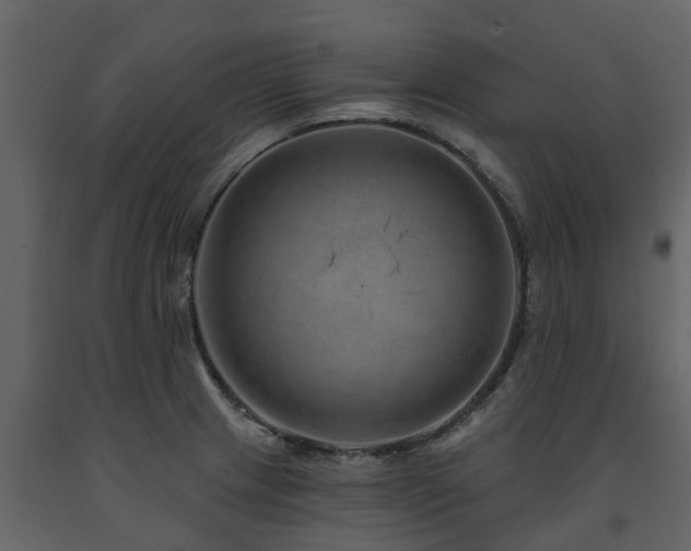 X0000091691233200708231432