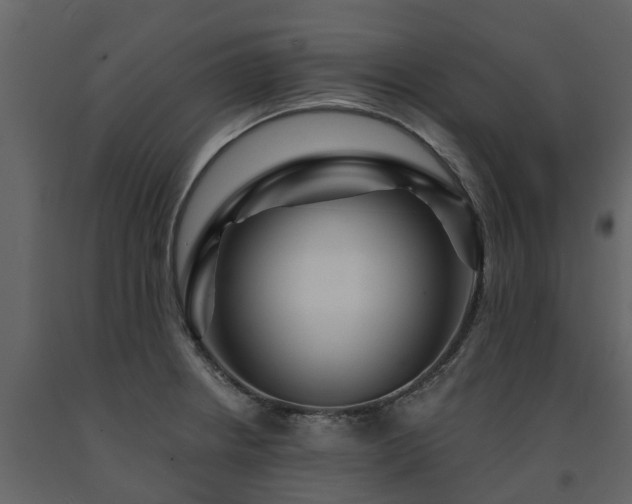 X0000091691234200708231432