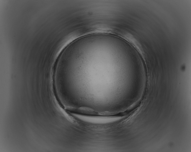X0000091691235200708231432