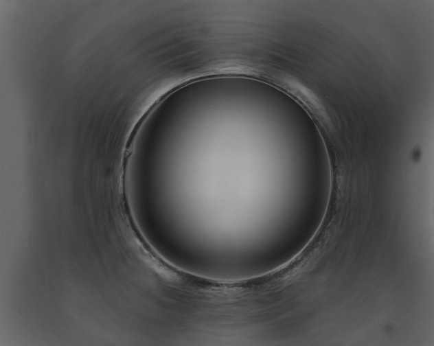 X0000091691236200708231432