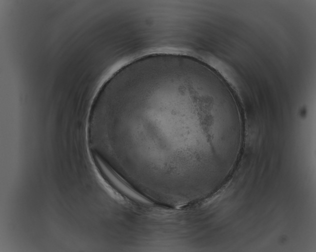 X0000091691237200708231433