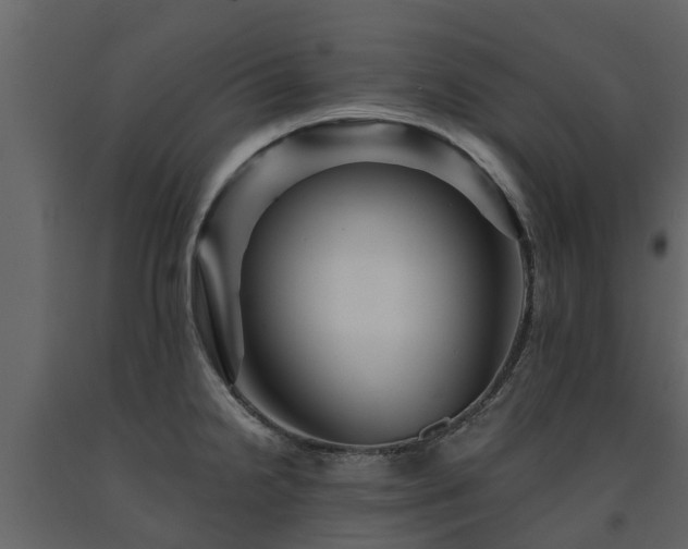 X0000091691238200708231433
