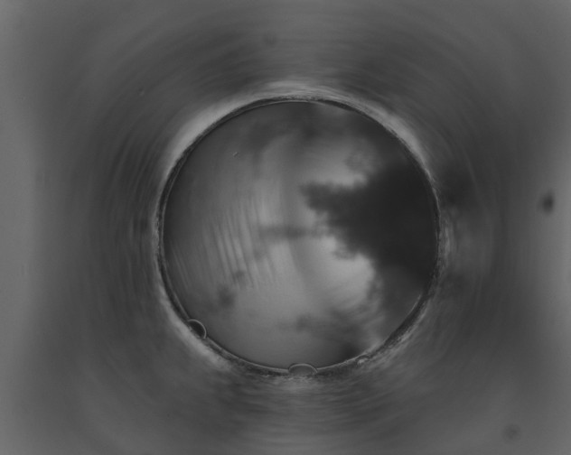 X0000091691239200708231433
