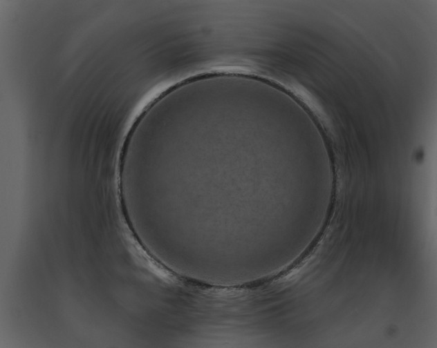 X0000091691240200708231433