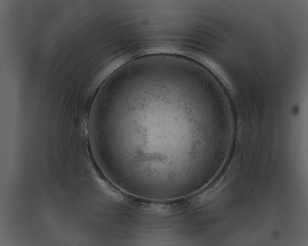 X0000091691241200708231433