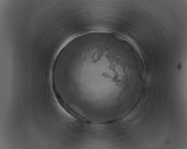 X0000091691243200708231433